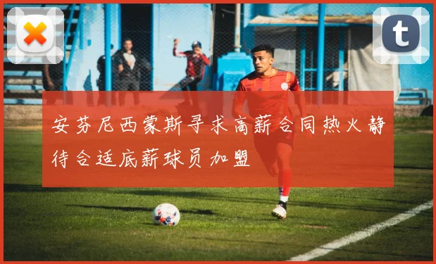 安芬尼西蒙斯寻求高薪合同热火静待合适底薪球员加盟