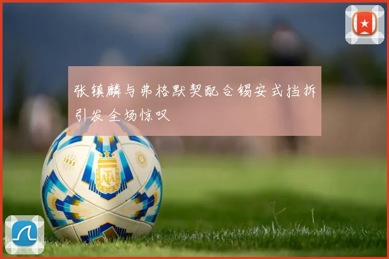 张镇麟与弗格默契配合锡安式挡拆引发全场惊叹