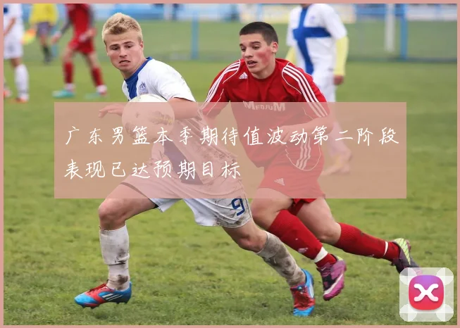 广东男篮本季期待值波动第二阶段表现已达预期目标